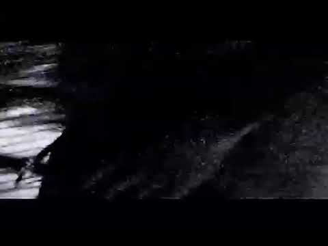 152. Bones VK Video - TheDayYouLeaveThisPlanetNobodyWillNotice [05.05.2016]