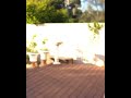 Brazzers Bangbros Fakehub