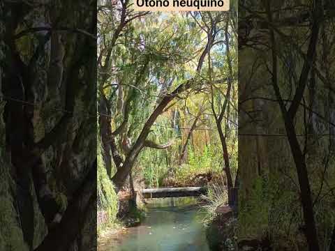 #otoño #patagonia #neuquén #plottier y #villapehuenia