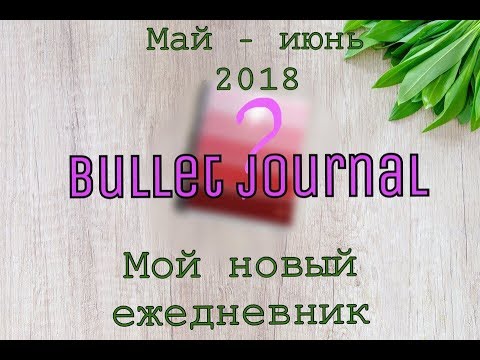 Мой новый ежедневник/BULLET JOURNAL/Май-Июнь 2018