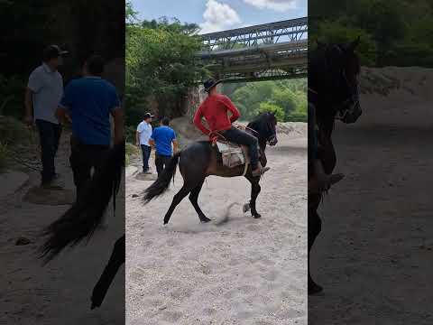Saludando a los amigos de San Rafael Oriente #SanMiguel un gusto compartir viejones