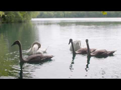 The Obsession - FULL FILM 2016