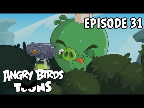 Angry Birds Toons | Pig Plot Potion - S1 Ep31
