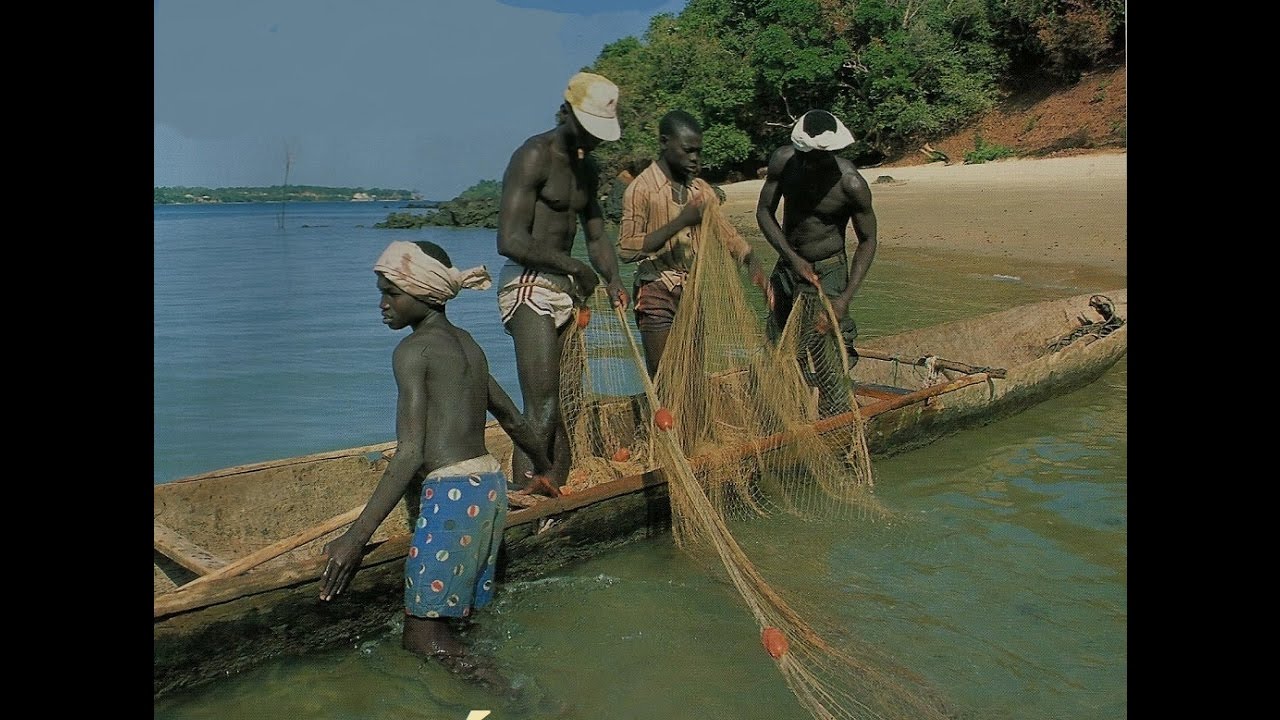 Guiné Bissau - um país de sonho.