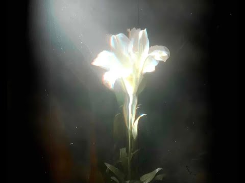 Light That Leads Me (with Bebe Rexha)