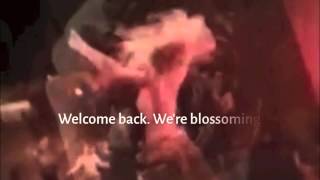 Welcome Back, Belly Dancers! Love, Cairo Caravan