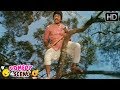 Dr Rajkumar Came Village To Palace Comedy Scene Kannada Movie Super Comedy Scenes