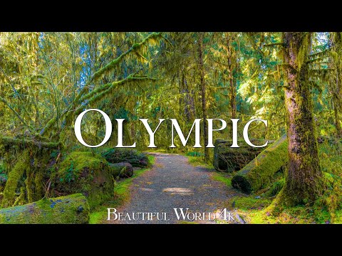 Olympic National Park 4K UHD • Home to Diverse Ecosystems  • Relaxation Film, Calming Music