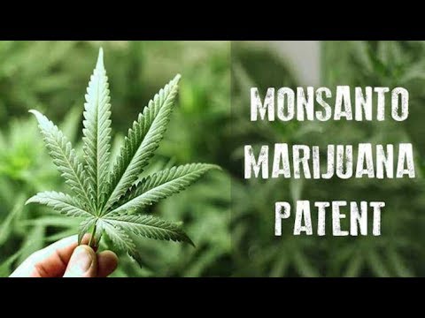 Monsanto Is Coming For Your Weed