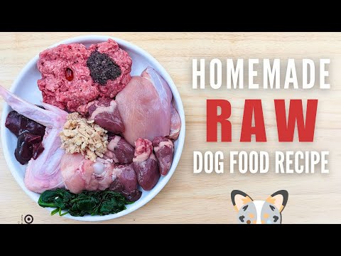 Simple Raw Food Recipe For Dogs (Beginner Friendly)