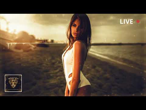 Fisherspooner - Never Win (Max Nikitin & Pushkarev Radio Edit)