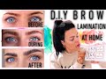 Eyebrow Lamination With Lash Lift Kit