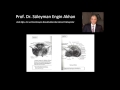 Prof. Dr. Süleyman Engin Akhan Prof. Dr. Süleyman Engin Akhan