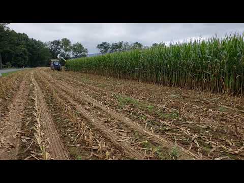 5720 chopping corn