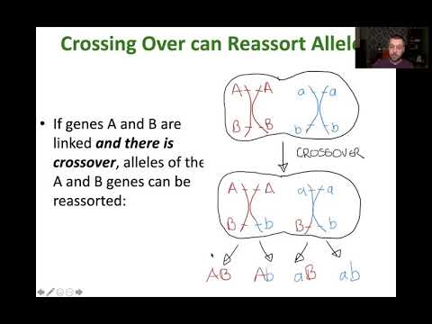 8 Linkage and Recombination 6 1 6 2