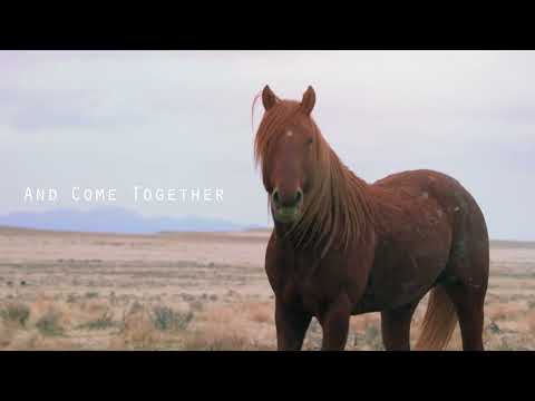 Trailer: Wild Lands Wild Horses "Twin Peaks"