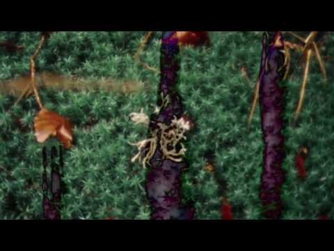 Daniel Kahn & The Painted Bird - "Children In The Woods" (official video)