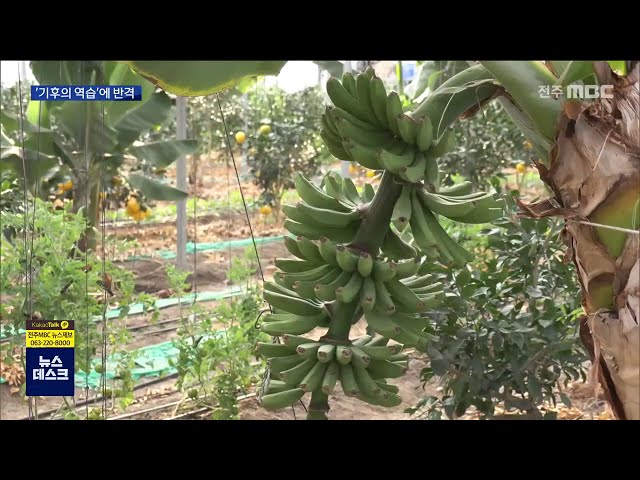 온난화 가속..위기의 농가 기후역습에 반격