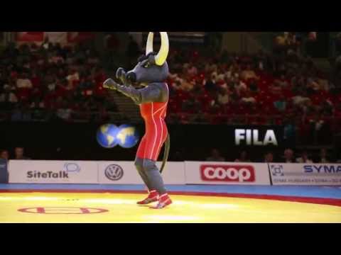 2013 Budapest World Freestyle Wrestling Championship 66kg