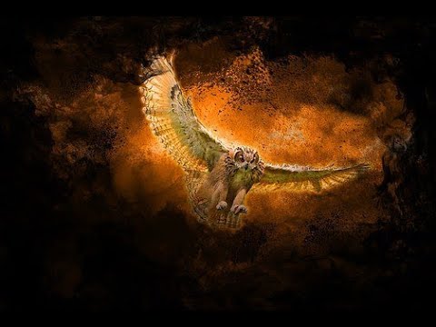 "Zwischenzeit" Juli 2021: One-Card-Channeling - Ein Weckruf der geistigen Welt mischt die Karten neu