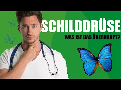Funktionen der Schilddrüse - leicht erklärt
