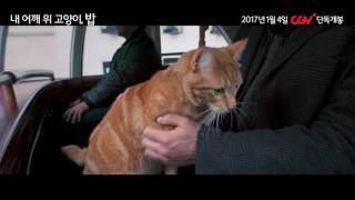 [내 어깨 위 고양이, 밥] 메인예고편