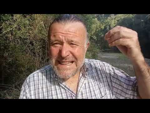 Kast vs el COCODRILO de 5 millones de tarados. Tomismo vs Gramcsi, escuela de derecho UC 1978...