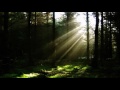 Tangerine Dream: Fauni-Gena (Atem: 1973)