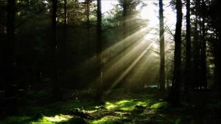 Tangerine Dream: Fauni-Gena (Atem: 1973)