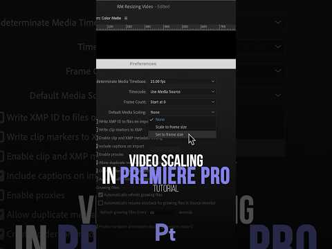 Auto Resize in Premiere Pro Trick