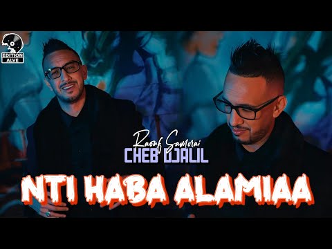 Cheb Djalil 2024 - Nti Haba عالمية & Raouf samourai (Clip officiel)