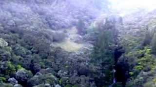 Blue duck Manuka honey, Bee lifting by Precision Helicopters.