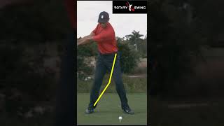 Understanding the Yellow Lines in the GOAT Model Swing