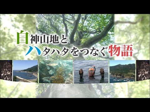 【八峰町　公式】白神山地とハタハタをつなぐ物語