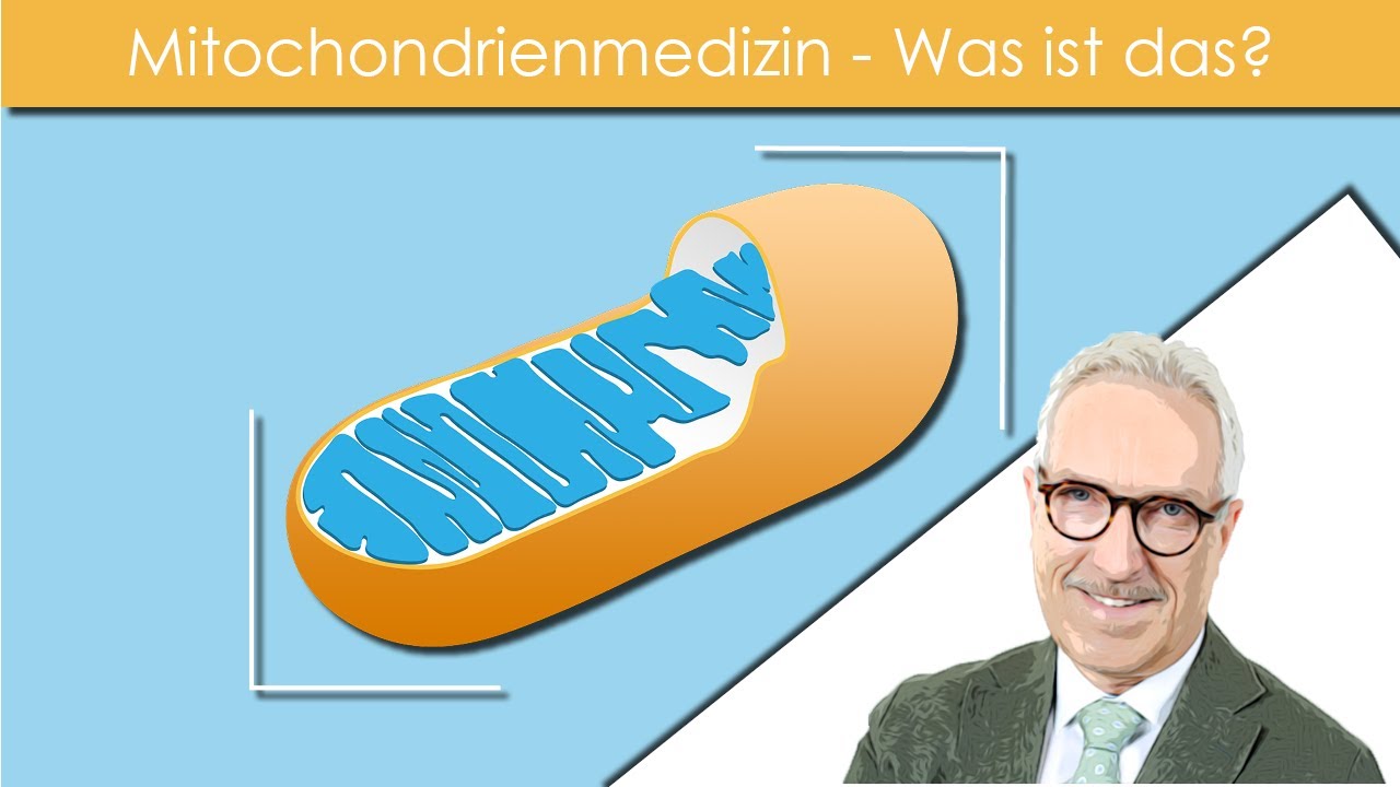 Rainer Mutschler Ma-10