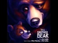Awakes As A Bear Brother Bear