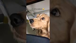 SKINWALKER  #sobrenatural