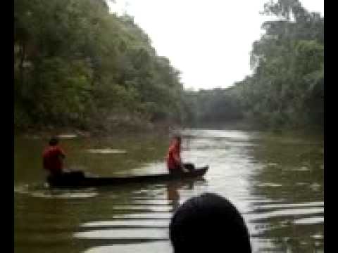 saullo nobre cade o remo