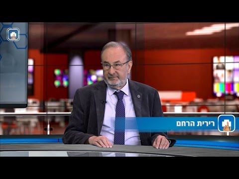 רירית הרחם: המילון הרפואי