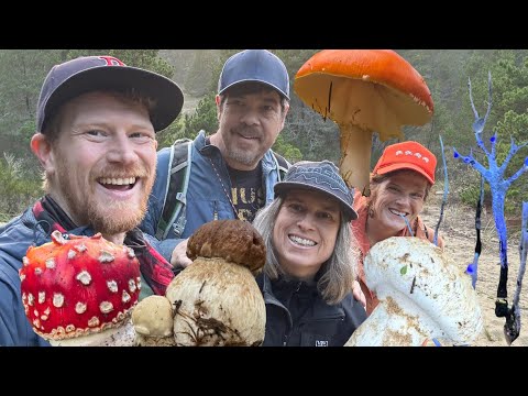 Foraging for Porcini and Matsutake on the Oregon Coast with Modern Forager: Kristen & Trent Blizzard