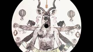 Cristalli liquidi - Sciame (Bottin Dub)