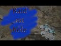 | raid rat hole | center | ARK official | Small tribes |