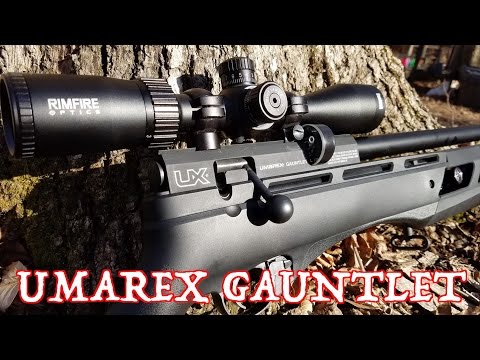 Umarex Gauntlet Air Rifle Review