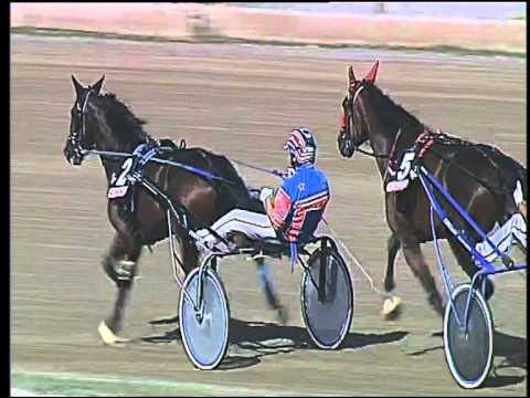 Trotto 17/09/2015 - 2° corsa