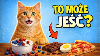 KOT może TO jeść?! - 10 produktów z TWOJEJ KUCHNI