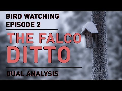 Bird Watching Ep. 2: Solving the Falco Ditto (Mango/Westballz Styles)