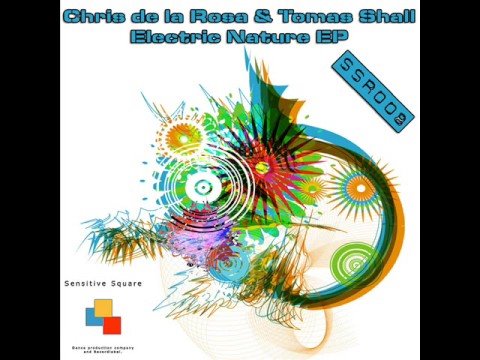Chris de la Rosa & Tomas Shall - Electric Nature (Peter Fern Remix)