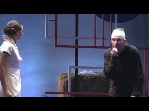 Anton Pavlovič Čehov - Utva / The Seagull