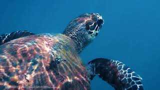 Samsung Memory Cards