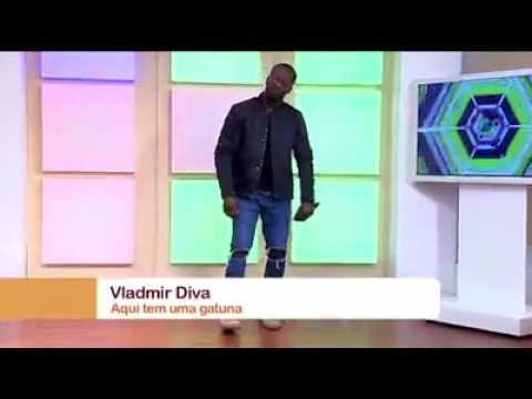 Aqui tem uma gatuna- VLADMIR DIVA